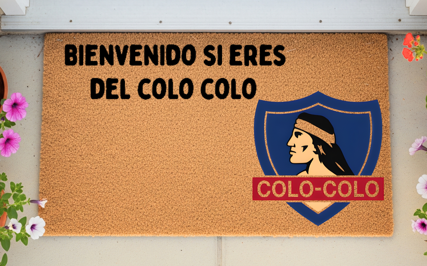 Colo colo